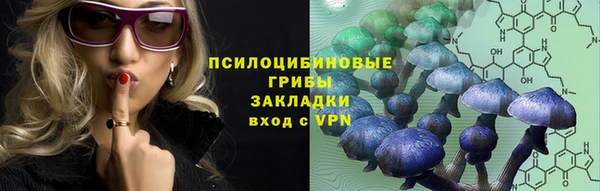 ПСИЛОЦИБИНОВЫЕ ГРИБЫ Алексеевка