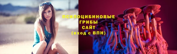 ПСИЛОЦИБИНОВЫЕ ГРИБЫ Алексеевка