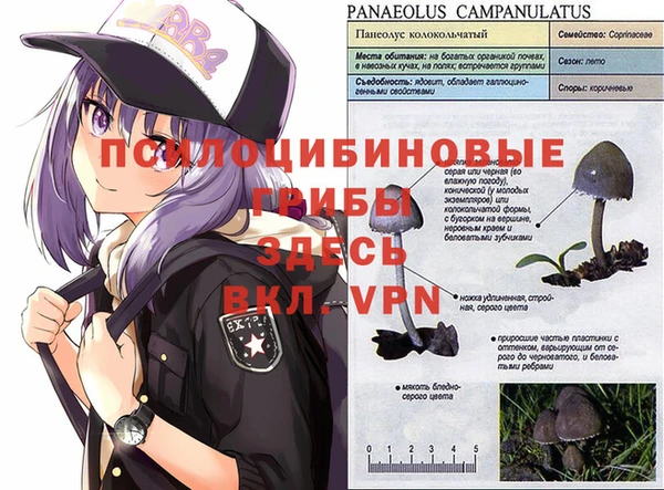гашишное масло Алзамай