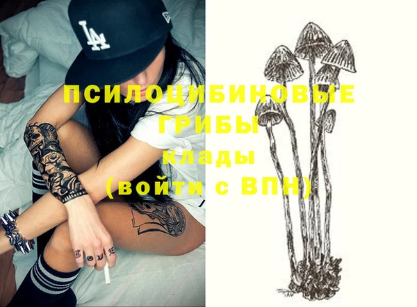 ПСИЛОЦИБИНОВЫЕ ГРИБЫ Алексеевка