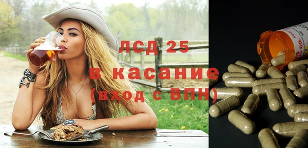 ПСИЛОЦИБИНОВЫЕ ГРИБЫ Алексеевка