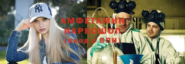 молекула духа Алексин