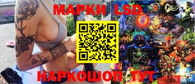 соль ск Сланцы