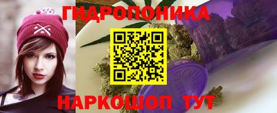 индика Славянск-на-Кубани