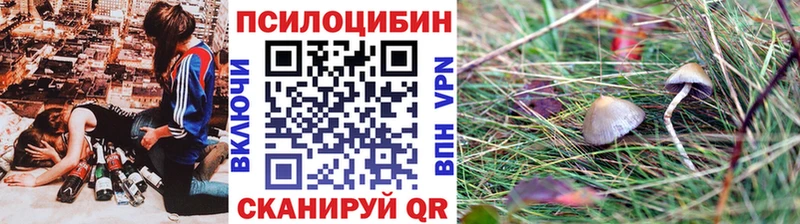 Псилоцибиновые грибы Psilocybine cubensis  где можно купить наркотик  Сосновоборск 